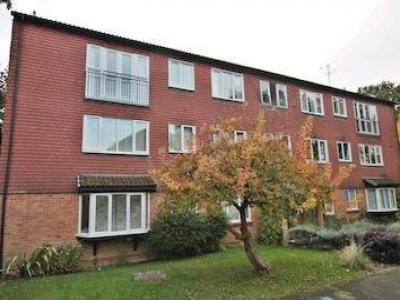 Annonce Location Appartement Woking