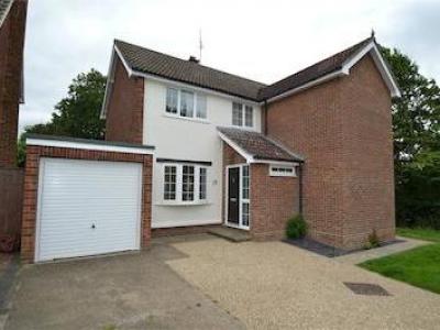 Annonce Location Maison Chelmsford