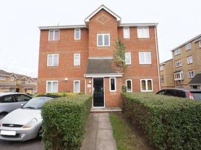 Annonce Location Appartement Basildon