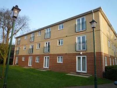 Annonce Location Appartement Peterborough