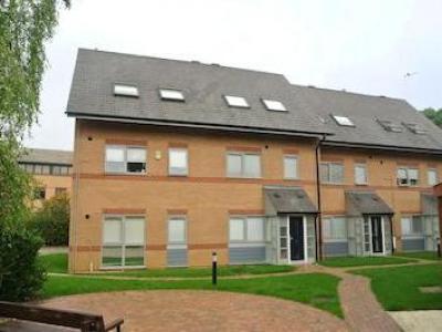 Annonce Location Appartement Peterborough