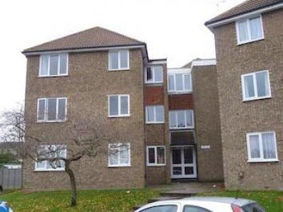 Annonce Location Appartement Dunstable