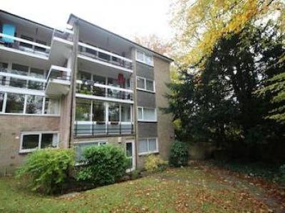 Annonce Location Appartement Winchester