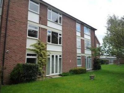 Annonce Location Appartement Winchester