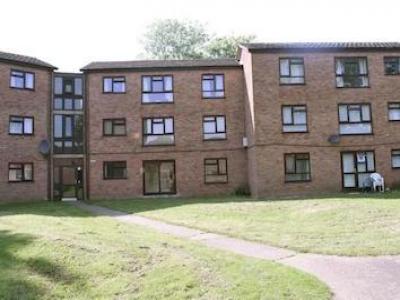 Annonce Location Appartement Norwich