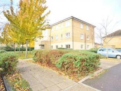 Annonce Location Appartement Feltham