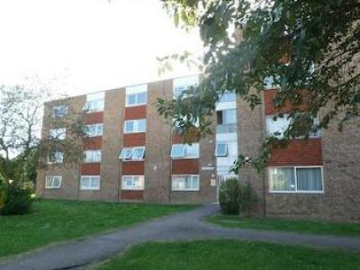 Annonce Location Appartement Bedford