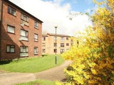 Annonce Location Appartement Norwich