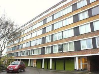 Annonce Location Appartement Bristol