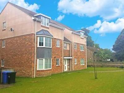 Annonce Location Appartement Newcastle-upon-tyne