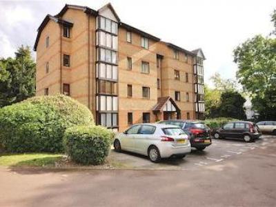 Annonce Location Appartement Twickenham