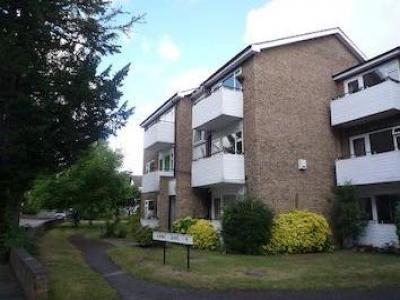 Annonce Location Appartement Walton-on-thames