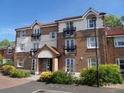 Annonce Location Appartement Whitley-bay