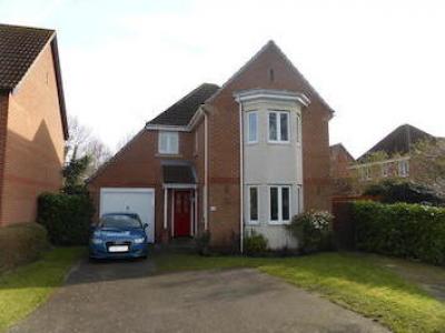 Annonce Location Maison Ipswich