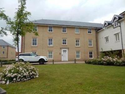 Annonce Location Appartement Norwich