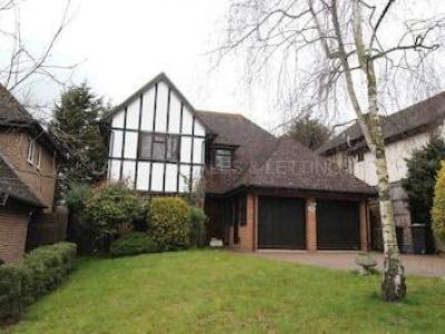 Annonce Location Maison Loughton