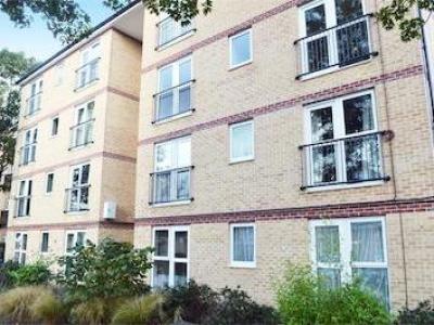 Annonce Location Appartement Hounslow