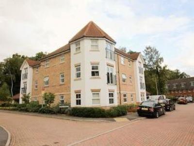 Annonce Location Appartement Farnborough