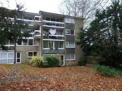 Annonce Location Appartement Winchester