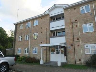 Annonce Location Appartement Southampton