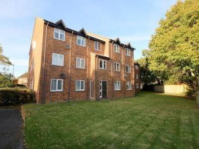 Annonce Location Appartement Southampton