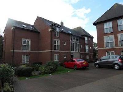 Louer Appartement Belper