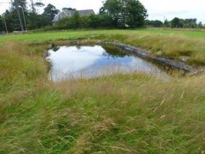 Acheter Terrain Llandysul