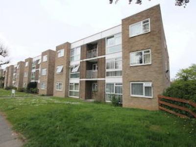 Annonce Location Appartement Bromley