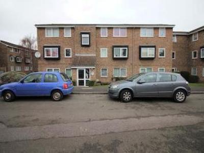 Annonce Location Appartement Hounslow