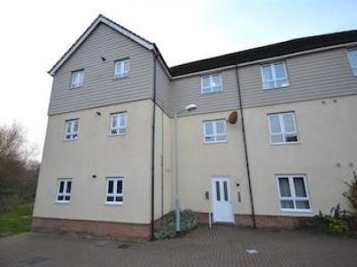 Annonce Location Appartement Norwich