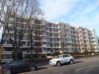 Annonce Location Appartement Hove