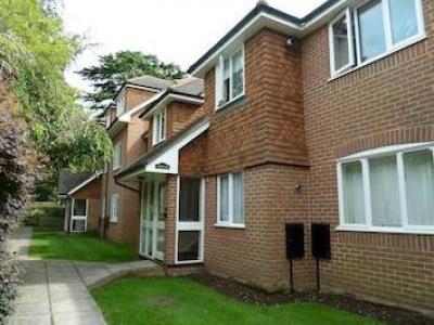 Annonce Location Appartement Leatherhead