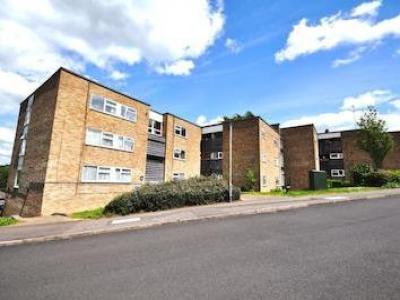 Annonce Location Appartement Berkhamsted