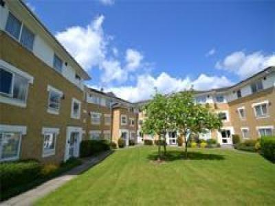 Annonce Location Appartement Chelmsford