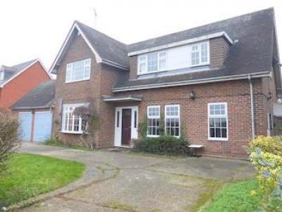 Annonce Location Maison Chelmsford