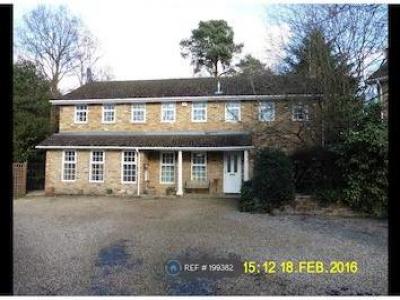 Annonce Location Maison Crowthorne