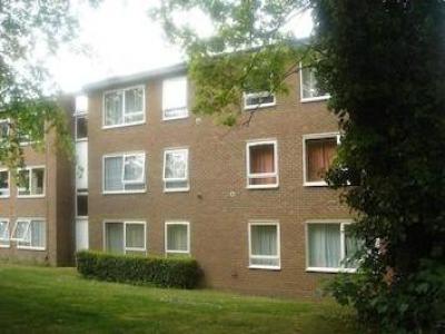 Annonce Location Appartement Croydon