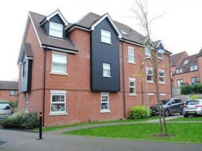 Annonce Location Appartement Bishop's-stortford