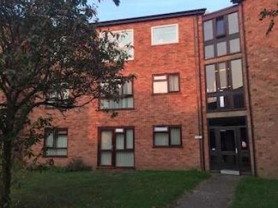 Annonce Location Appartement Norwich