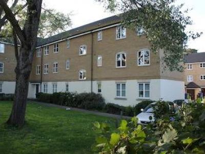 Annonce Location Appartement Norwich