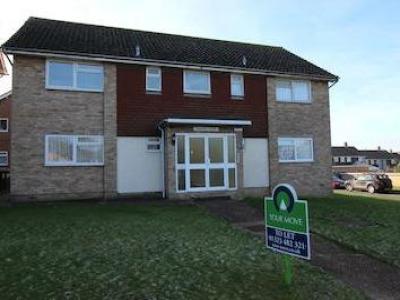 Annonce Location Appartement Polegate