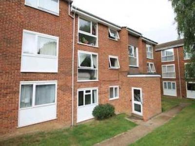 Annonce Location Appartement Hemel-hempstead