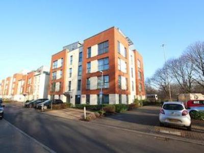 Annonce Location Appartement Bristol