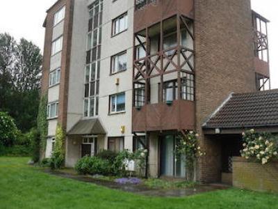 Annonce Location Appartement North-shields