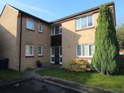 Annonce Location Appartement Chippenham