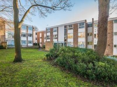 Annonce Location Appartement Maidenhead