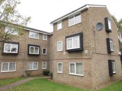 Annonce Location Appartement Hounslow