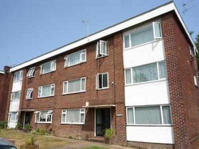 Annonce Location Appartement Southampton