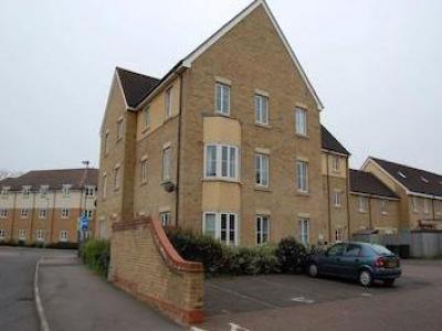 Annonce Location Appartement Cambridge