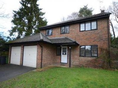 Annonce Location Maison Camberley